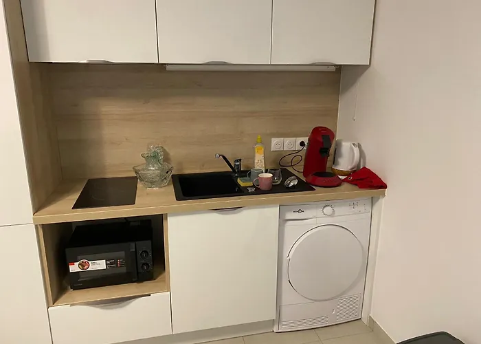Studio Avec Parking Prive, Piscine Plage 300M